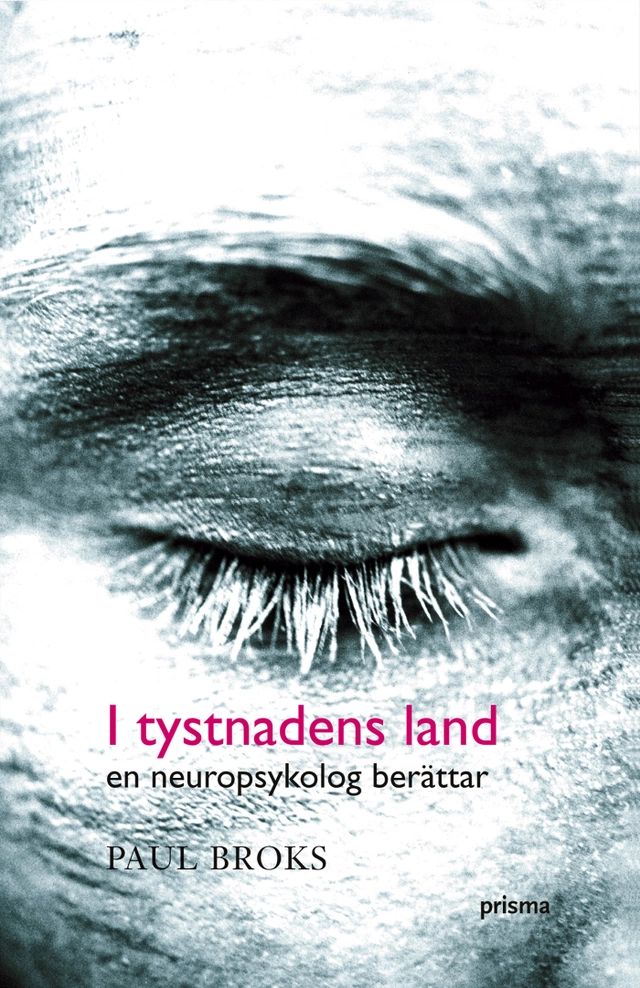 I tystnadens land : en neuropsykolog berättar; Paul Broks; 2004