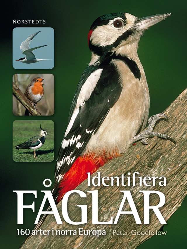 Identifiera fåglar : 160 arter i norra Europa; Peter Goodfellow; 2012