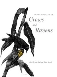 In the company of crows and ravens; John M. Marzluff; 2007