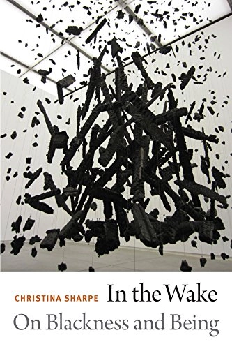In the wake : on Blackness and being; Christina Elizabeth Sharpe; 2016