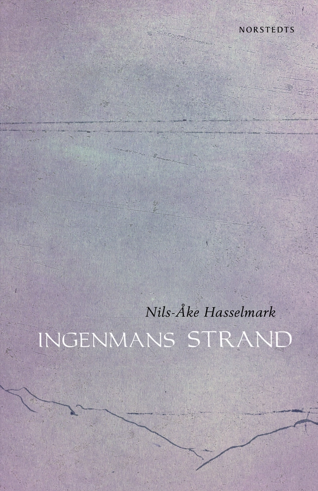 Ingenmans strand; Nils-Åke Hasselmark; 2024