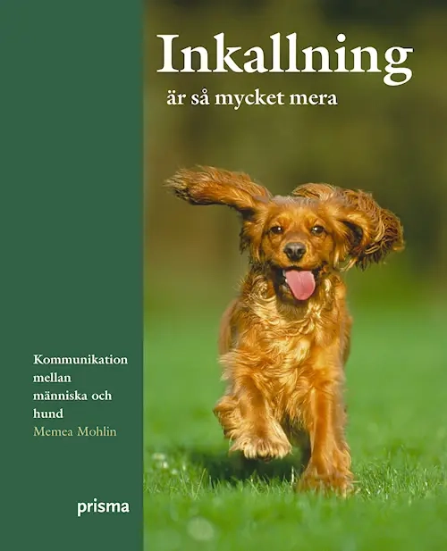 Inkallning är så mycket mera; Memea Mohlin; 1999