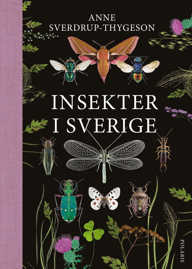 Insekter i Sverige; Anne Sverdrup-Thygeson; 2026