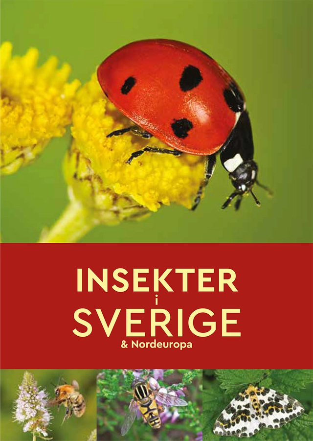 Insekter i Sverige & Nordeuropa; Robert Read; 2022