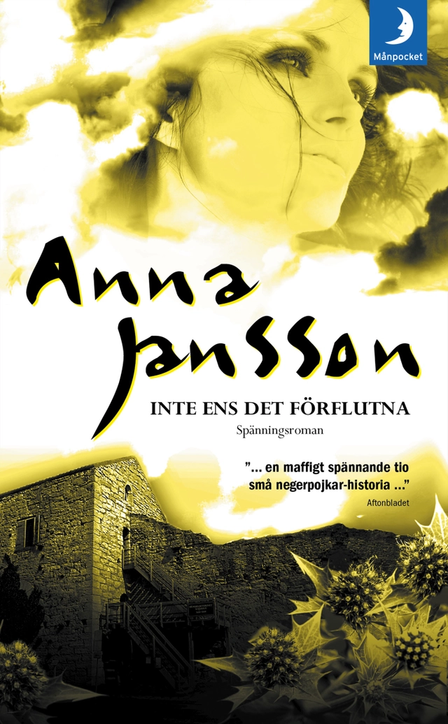 Inte ens det förflutna; Anna Jansson; 2009