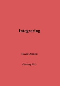 Integrering; David Armini; 2013