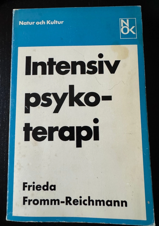 Intensiv psykoterapi; Frieda Fromm-Reichmann; 1973