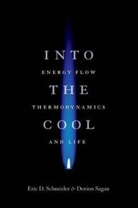 Into the cool : energy flow, thermodynamics, and life; Eric D. Schneider; 2006