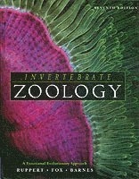 Invertebrate zoology; Edward E. Ruppert, Richard S. Fox, Robert D. Barnes; 2003