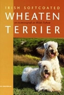Irish softcoated wheaten terrier; Hilde Nybom; 2005