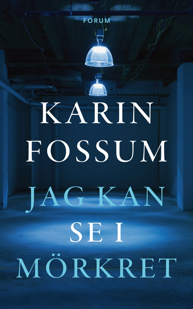 Jag kan se i mörkret; Karin Fossum; 2012