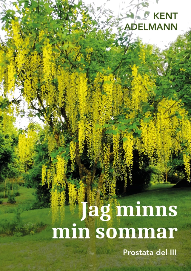 Jag minns min sommar : Prostata del III; Kent Adelmann; 2025