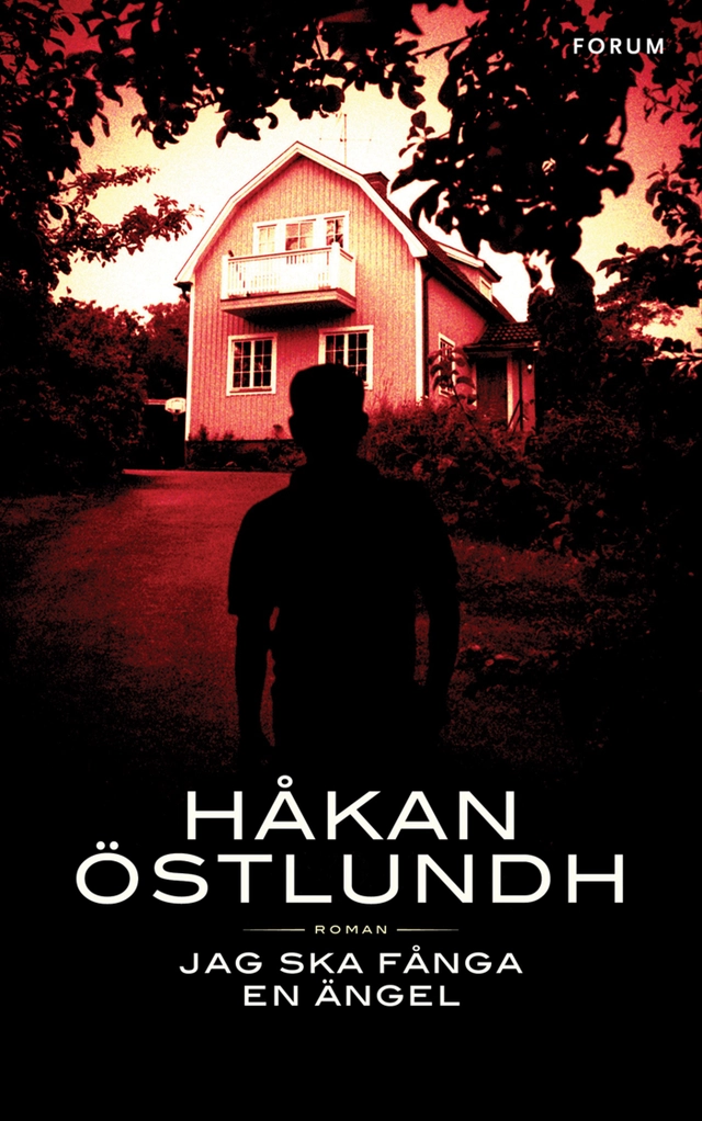Jag ska fånga en ängel; Håkan Östlundh; 2010
