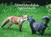 Jämtländska ögonblick : bilder från 45 års yrkesverksamhet; Jan Andersson; 2015
