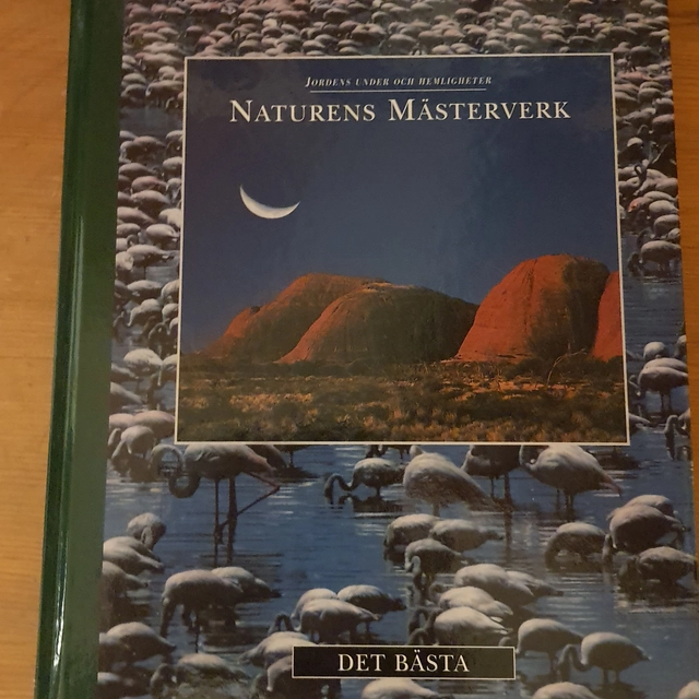 Jordens under och hemligheter: Naturens mästerverk; Steve Cox; 2000