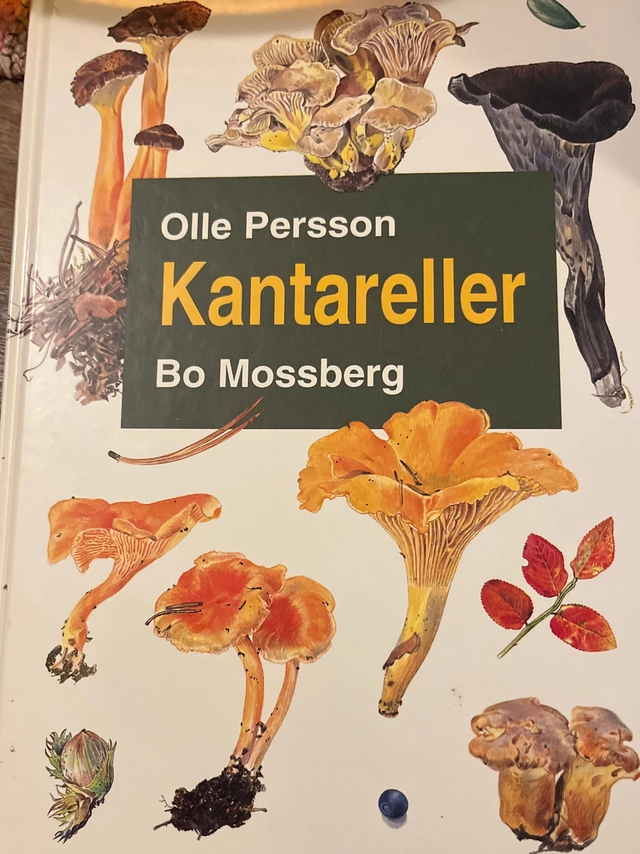 Kantareller; Olle Persson; 1994
