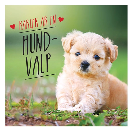 Kärlek är en hundvalp; Charlie Ellis; 2021