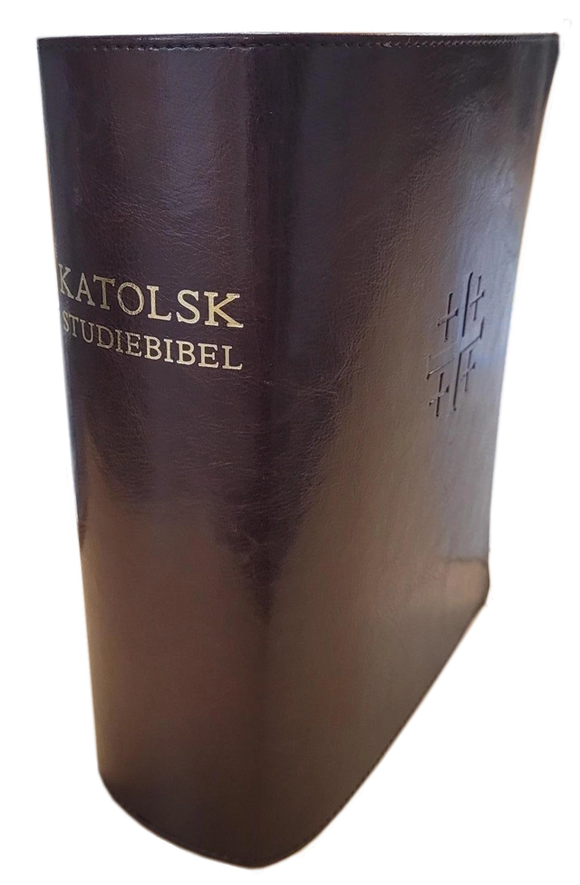 Katolsk studiebibel : Bibel 2000 med katolska kommentarer; Tord Fornberg, Emanuel Sennerstrand, Anna Minara Ciardi, Gösta Hallonsten, Anders Arborelius; 2022