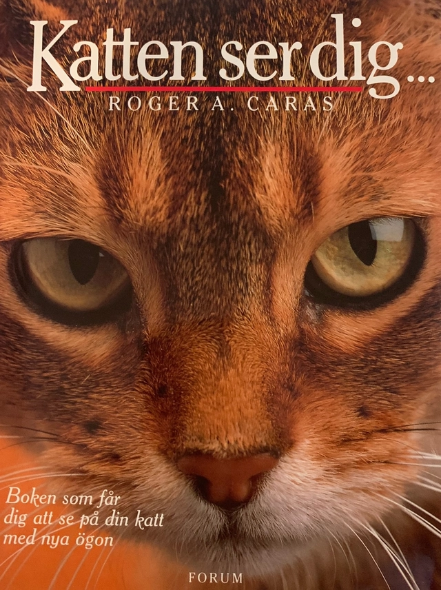 Katten ser dig; Roger A. Caras; 1991