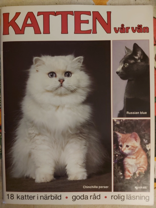 Katten vår vän; Ulla Barvefjord; 1990