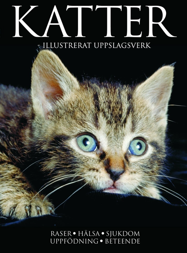 Katter - illustrerat uppslagsverk; Lotta Lind; 2005