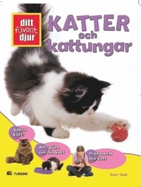 Katter och Kattungar; Honor Head; 2007
