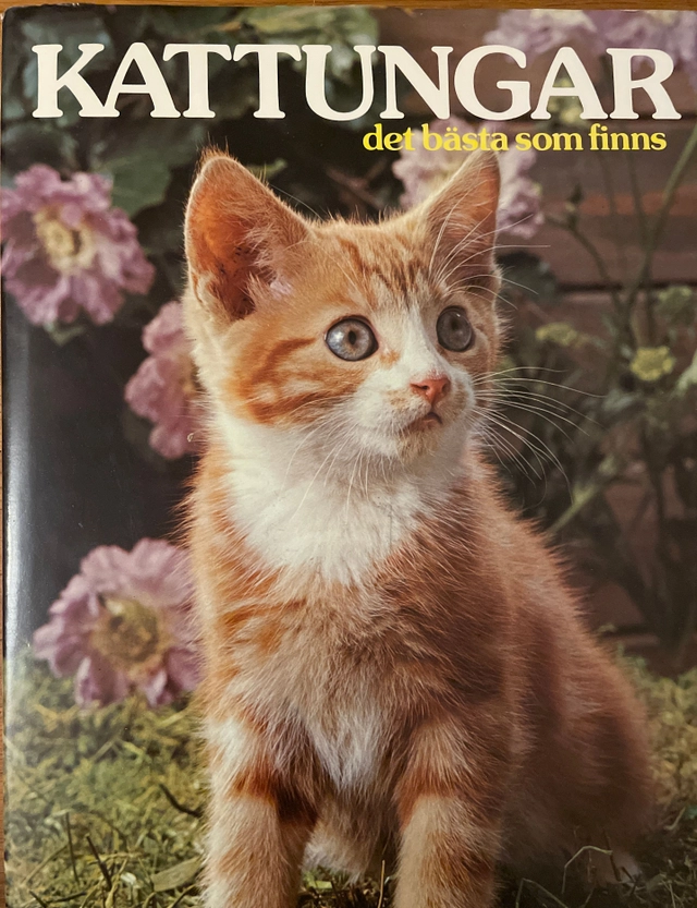Kattungar: det bästa som finns; Angela Sayer; 1977