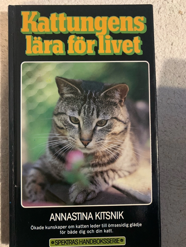 Kattungens lära för livet; Annastina Kitsnik; 1990