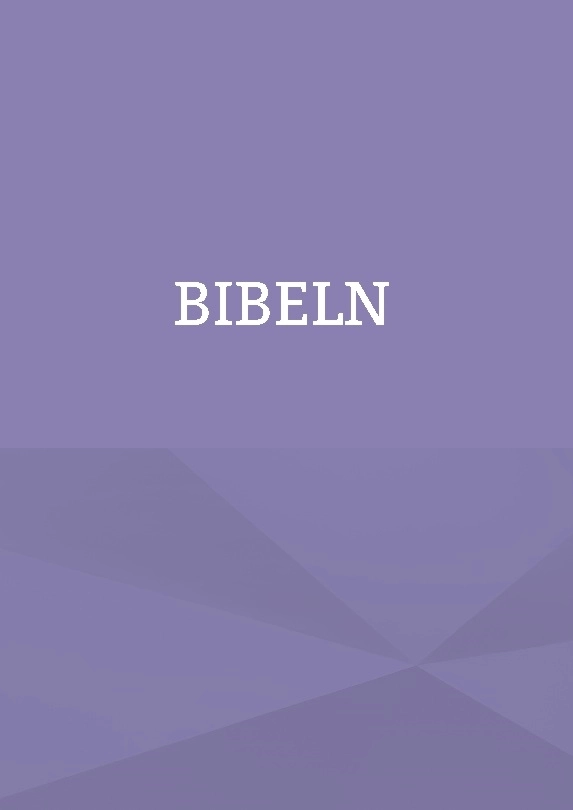King James bibeln på svenska : Bibeln; Patrik Firat; 2024