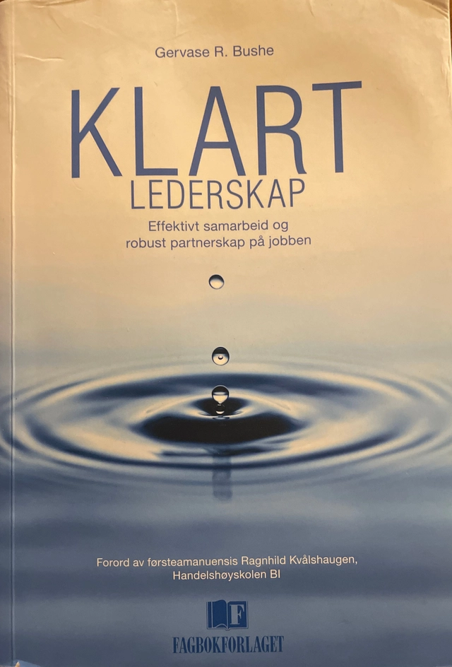 Klart lederskap: effektivt samarbeid og robust partnerskap på jobben; Gervase R. Bushe; 2012