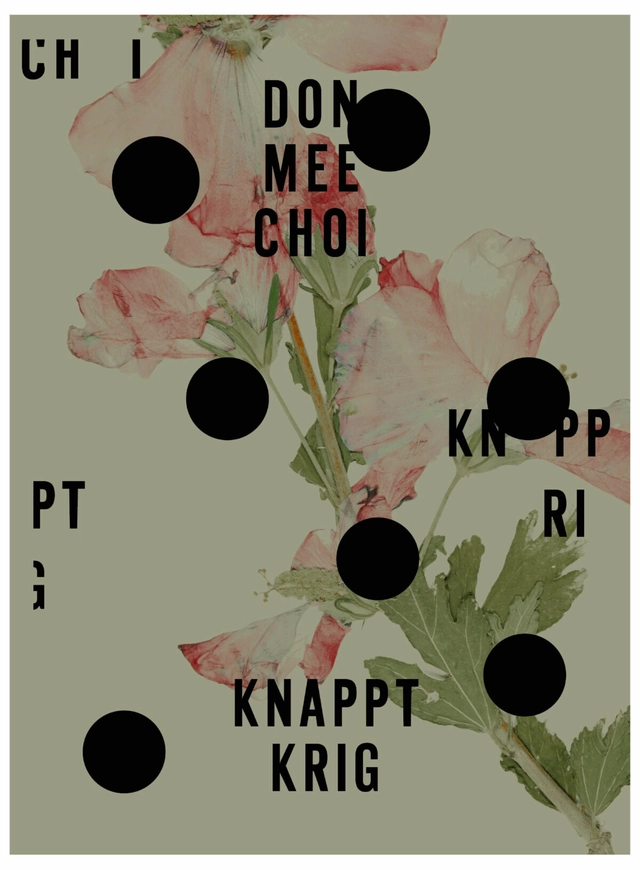 Knappt krig; Don Mee Choi; 2023