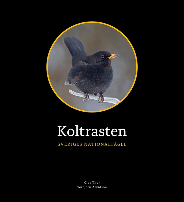 Koltrasten : Sveriges Nationalfågel; Clas Thor; 2021