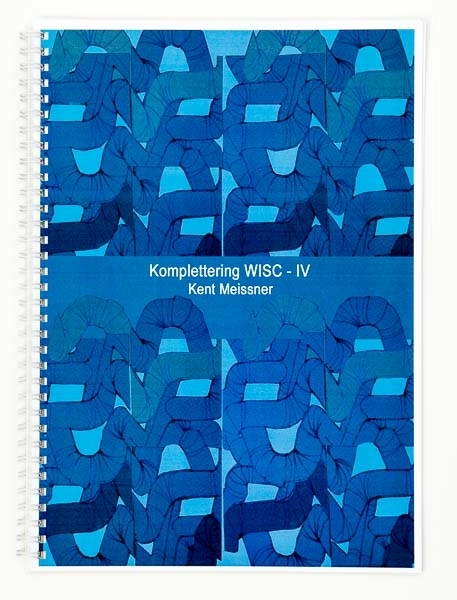 Komplettering WISC - IV; Kent Meissner; 2011