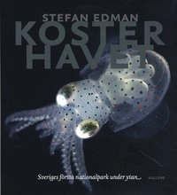 Kosterhavet : sveriges första nationalpark under ytan; Stefan Edman, Naturvårdsverket; 2009
