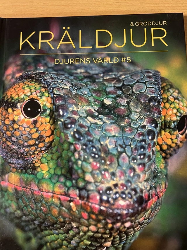 KRÄLDJUR OCH GRODDJUR; Dorling Kindersley; 2010