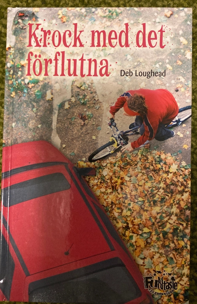 Krock med det förflutna; Deb Loughead; 2005
