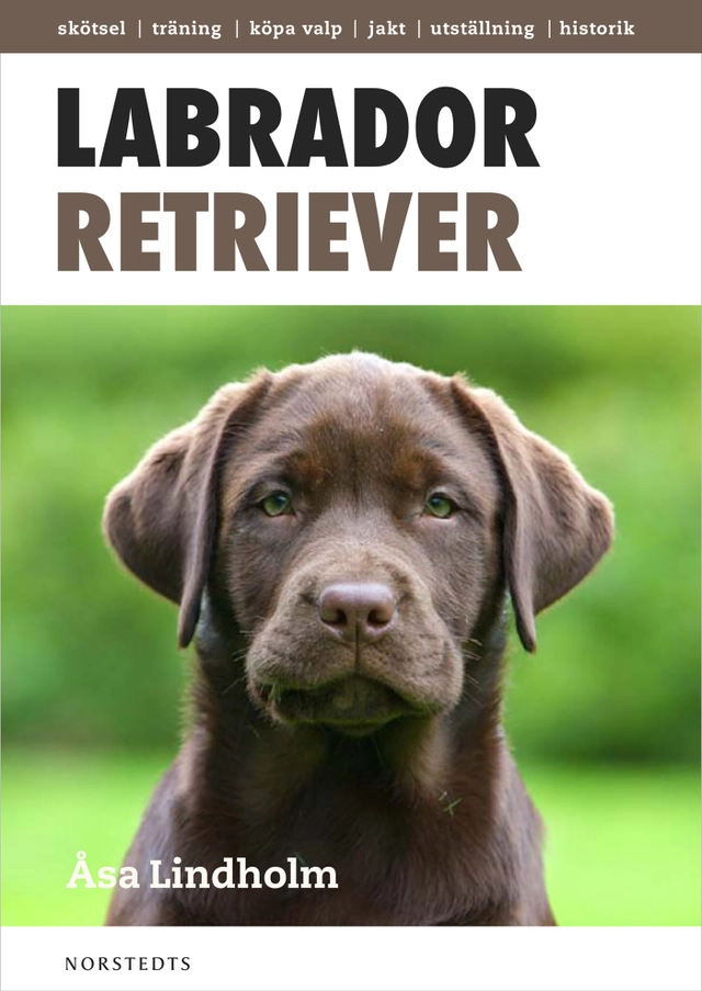 Labrador retriever : det mesta du behöver veta om din hund; Åsa Lindholm; 2011