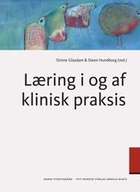 Læring i og af klinisk praksis; Stinne Glasdam, Steen Hundborg; 2013