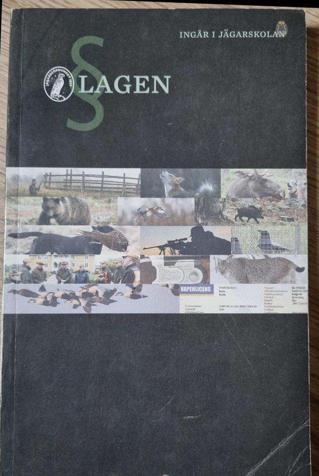 Lagen; Ola Wälimaa; 2010