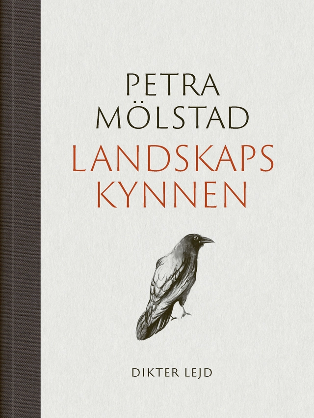 Landskapskynnen; Petra Mölstad; 2024