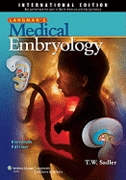 Langman's medical embryology; T. W. Sadler; 2010