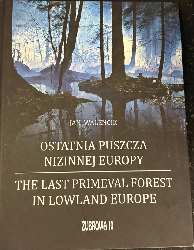 Last primeval forest in lowland Europe; Jan Walencik; 2010