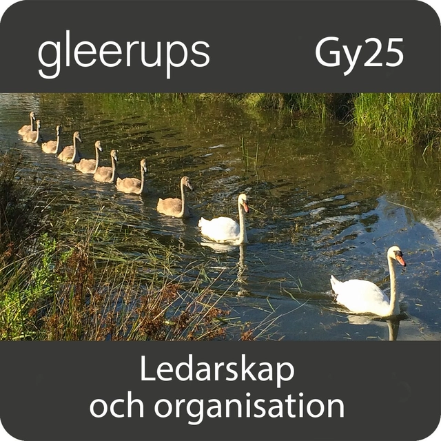Ledarskap och organisation, digitalt, lärare, 12 mån, Gy25; Lars Berglund, Thomas Sewerin; 2025
