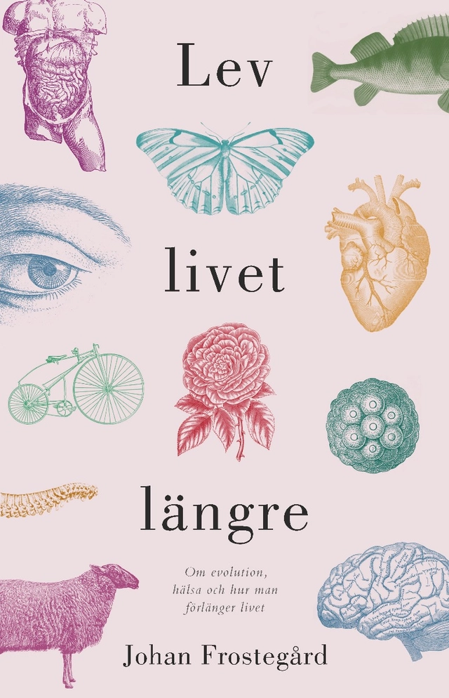 Lev livet längre : om evolution, hälsa och hur man förlänger livet; Johan Frostegård; 2019
