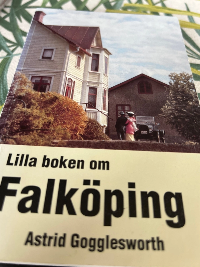 Lilla boken om Falköping : en kulturguide; Krister Brandt; 1995
