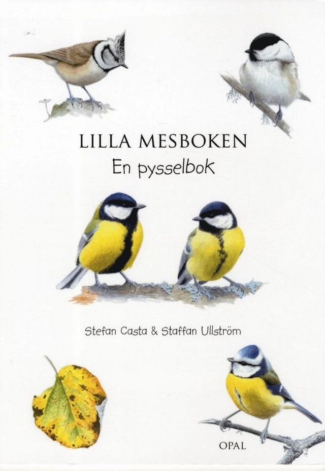 Lilla mesboken en pysselbok; Stefan Casta, Ulrika Larsson; 2013