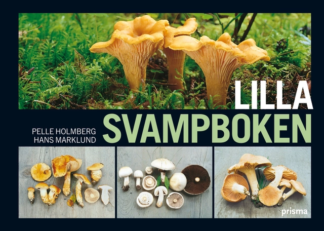 Lilla svampboken; Pelle Holmberg, Hans Marklund; 2009