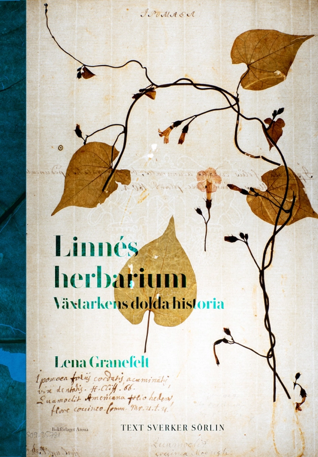 Linnés herbarium : växtarkens dolda historia; Sverker Sörlin, Lena Granefelt; 2025