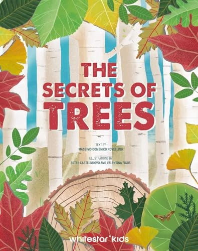 Lives of Trees; Massimo Novellino; 2024