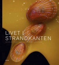Livet i strandkanten; Annelie Lindgren, Fredrik Pleijel, Lars-Ove Loo, Phillip Davies; 2013